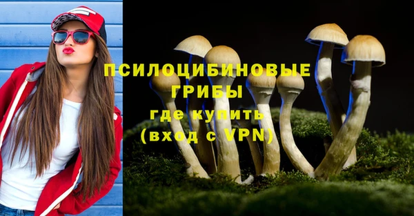 стафф Балахна